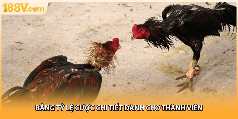 Bảng tỷ lệ cược chi tiết dành cho thành viên