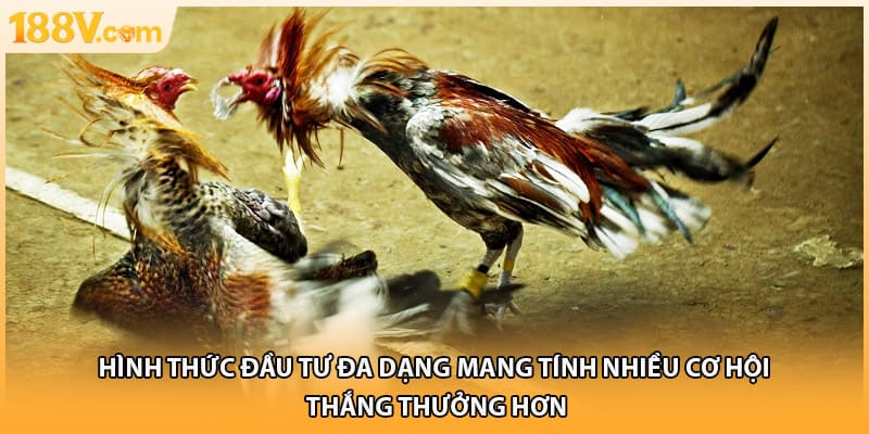 Hình thức đầu tư đa dạng mang tính nhiều cơ hội thắng thưởng hơn