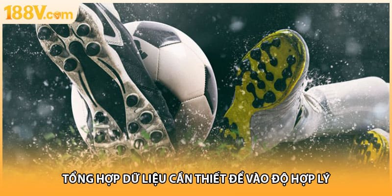 Tổng hợp dữ liệu cần thiết để vào độ hợp lý